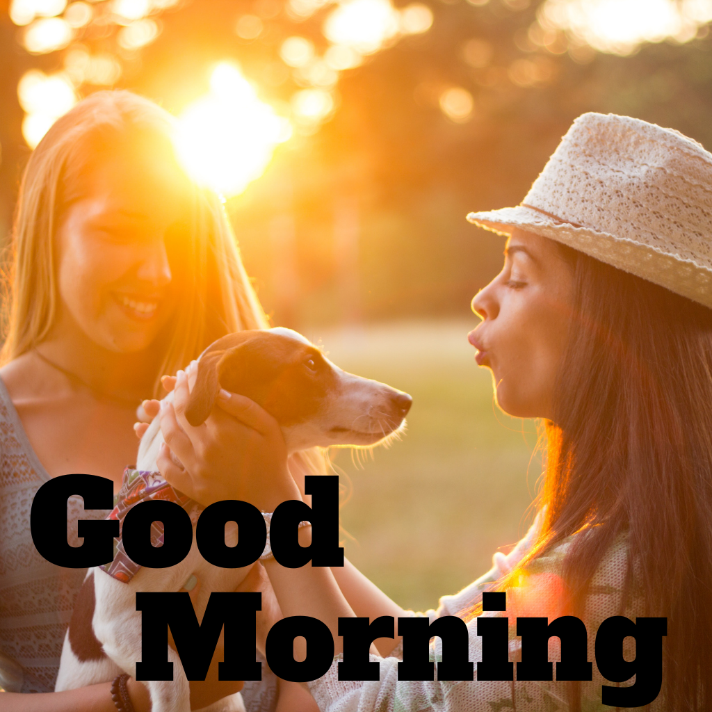 Start your day with a wagging tail and a loyal friend! This lovable image, featuring an adorable dog, is designed to make the hearts of dog lovers skip a beat. Send it for a morning filled with canine companionship and joy.