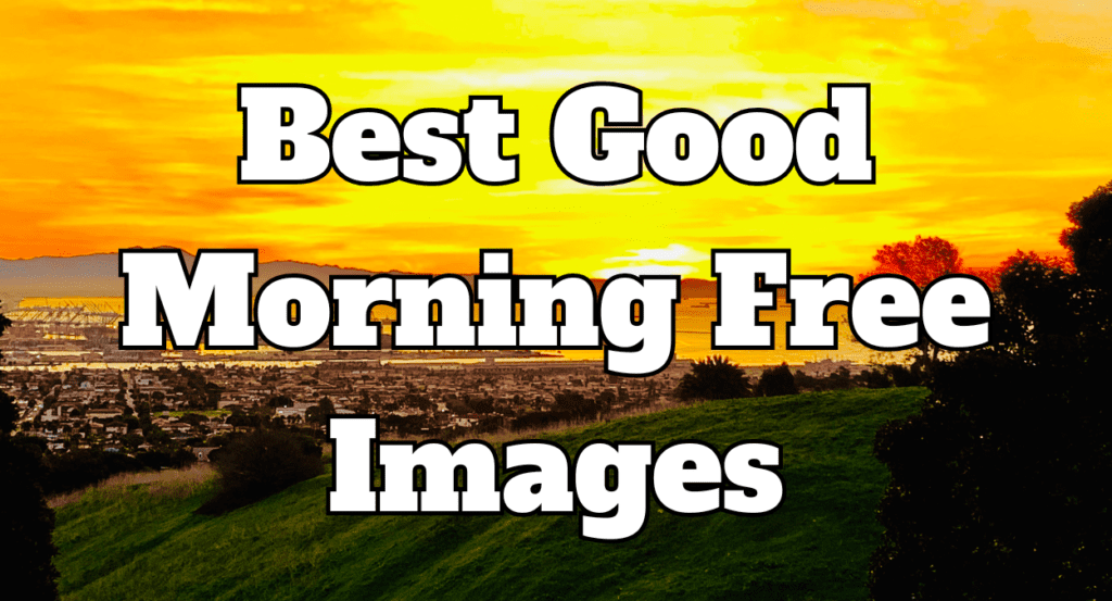 50 Best Good Morning Free Images For Friends and Family 4 Media Gallery